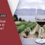 El encanto de los vinos de terruño: Descubre la influencia del suelo en el sabor del vino