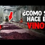 Los secretos detrás del proceso de elaboración del vino: De la vid a la botella