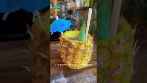 Bares con cócteles tropicales en la Parte Vieja